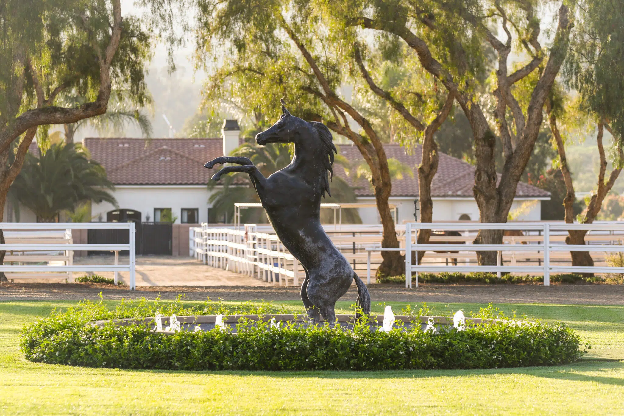 Southern California Equestrian Center Where our love for horses runs